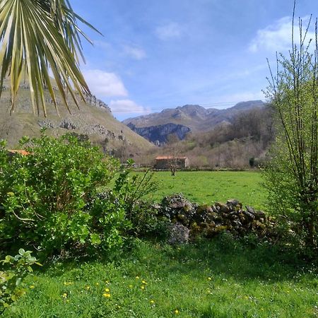 Amplia Y Comoda Casa De Piedra Con Porche Y Jardin San Roque de Riomiera Luaran gambar