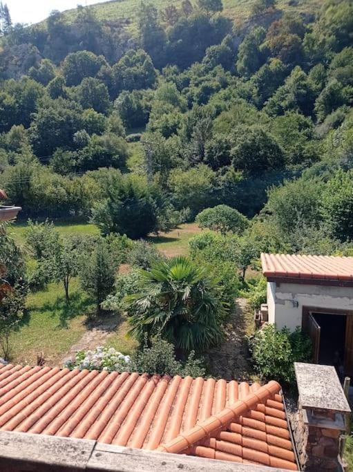 Amplia Y Comoda Casa De Piedra Con Porche Y Jardin San Roque de Riomiera Luaran gambar
