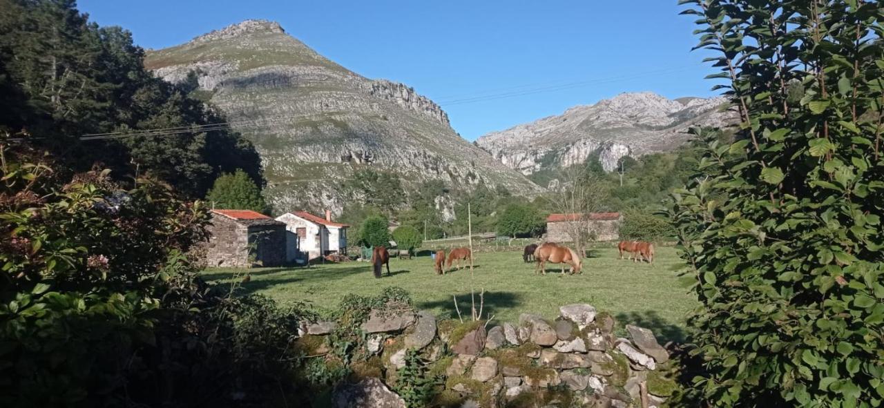 Amplia Y Comoda Casa De Piedra Con Porche Y Jardin San Roque de Riomiera Luaran gambar