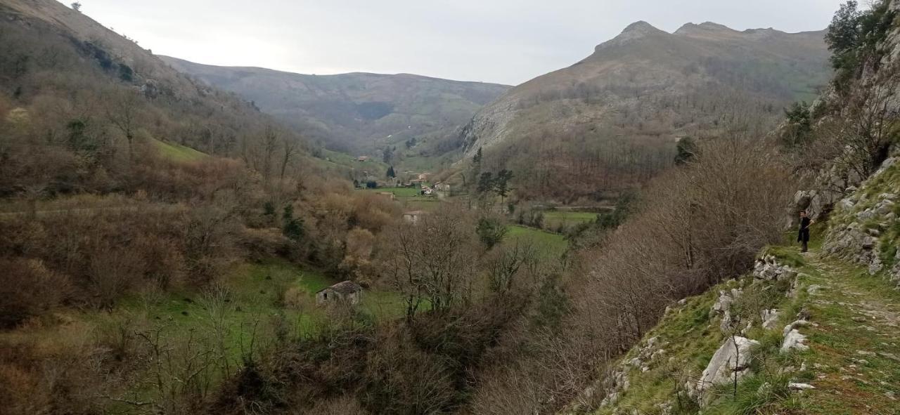 Amplia Y Comoda Casa De Piedra Con Porche Y Jardin San Roque de Riomiera Luaran gambar