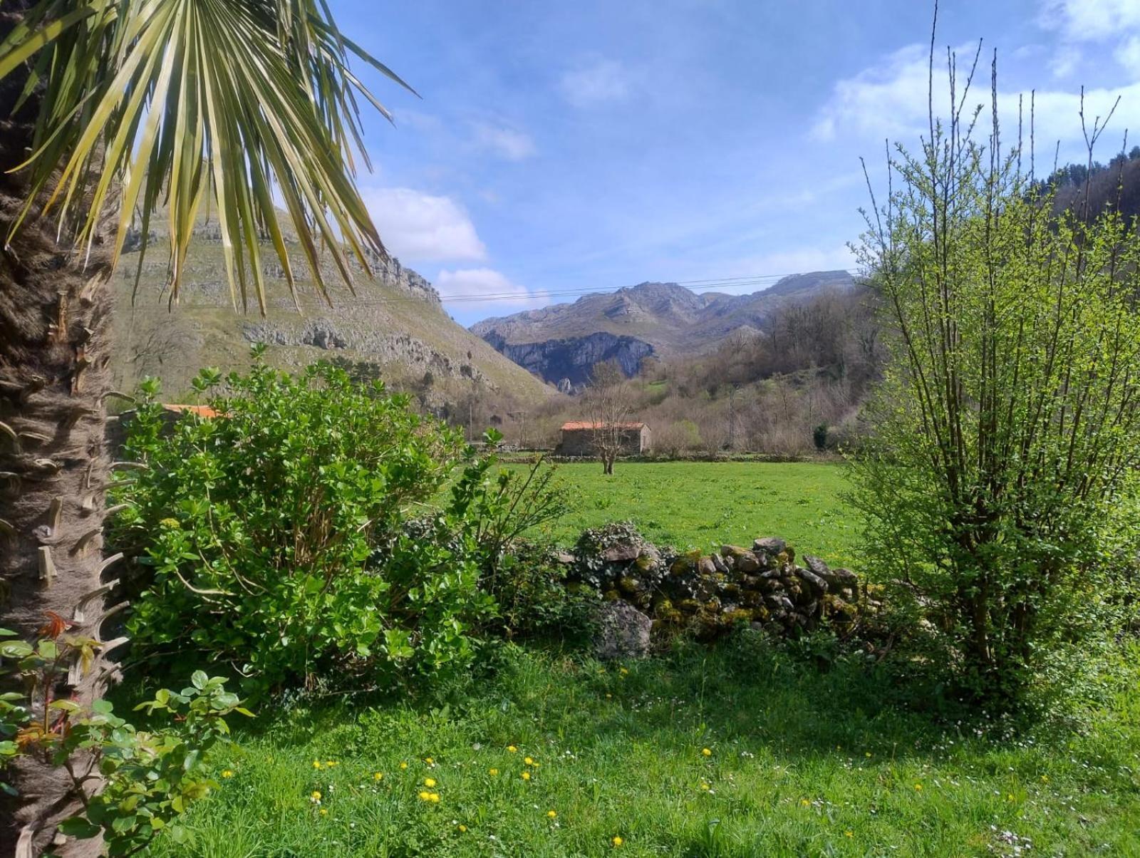 Amplia Y Comoda Casa De Piedra Con Porche Y Jardin San Roque de Riomiera Luaran gambar